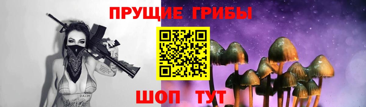 Псилоцибиновые грибы Psilocybine cubensis Чайковский